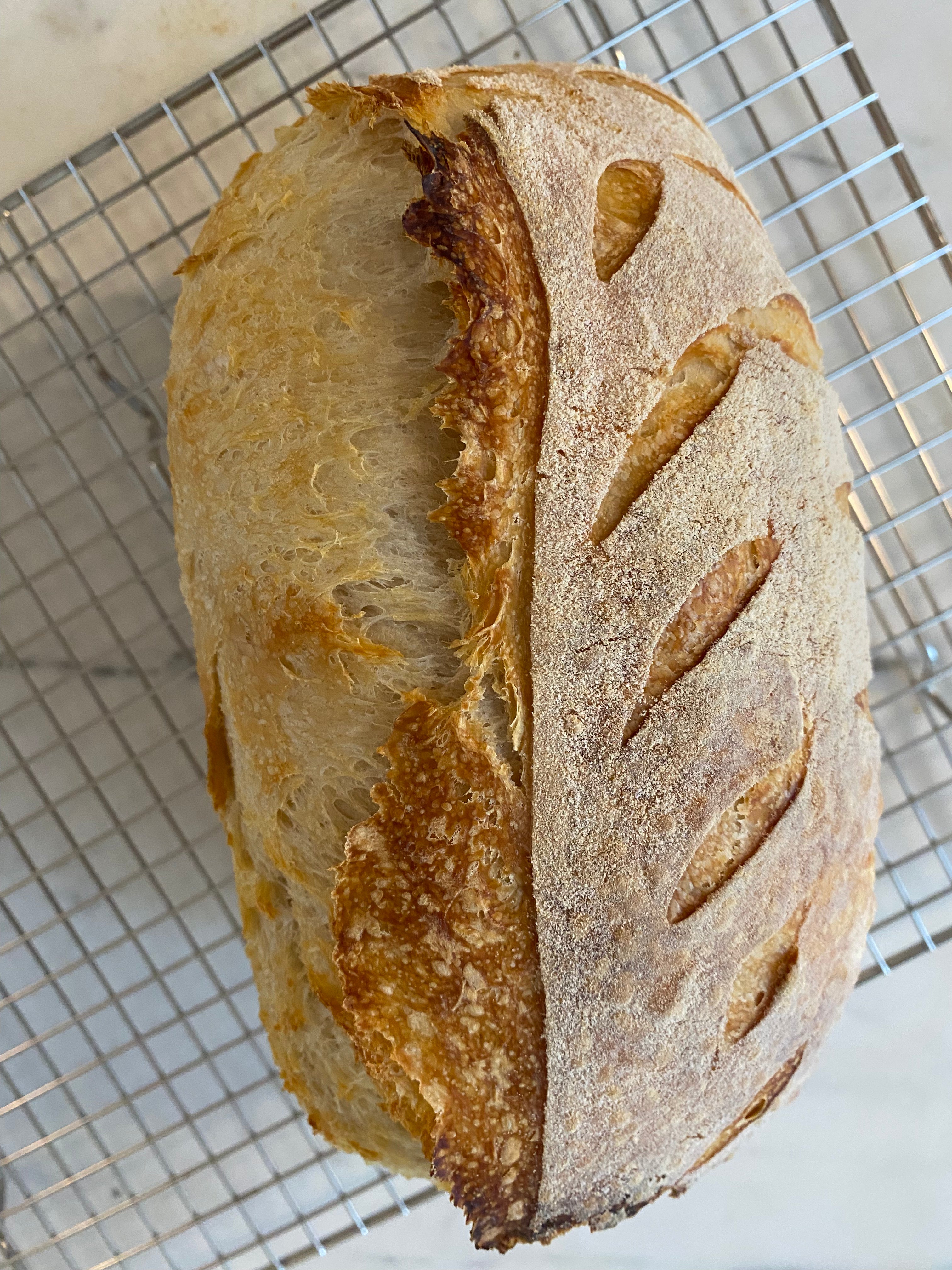 Delicious organic sourdough bread made with simple ingredients—organic flour, water, salt, and wheat—available at a charming farm store in Ellijay, GA, known for its wholesome, organic offerings.