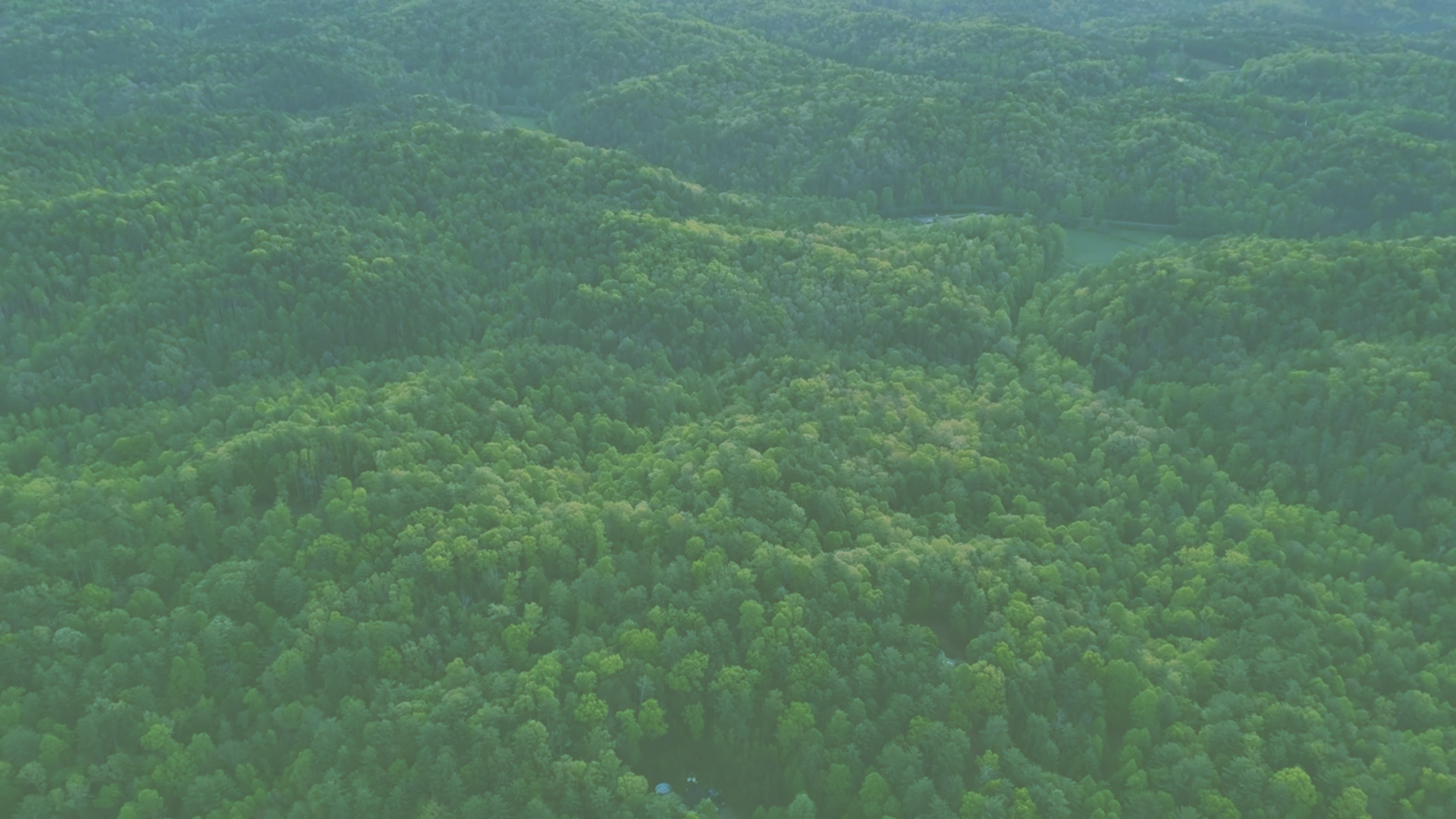 Aerial view of Bereishis The Farm, a fully organic farm located at 10675 Chatsworth Hwy, Ellijay, GA 30540. The farm offers farm stays, tours, and photoshoot opportunities amidst lush greenery and scenic landscapes.