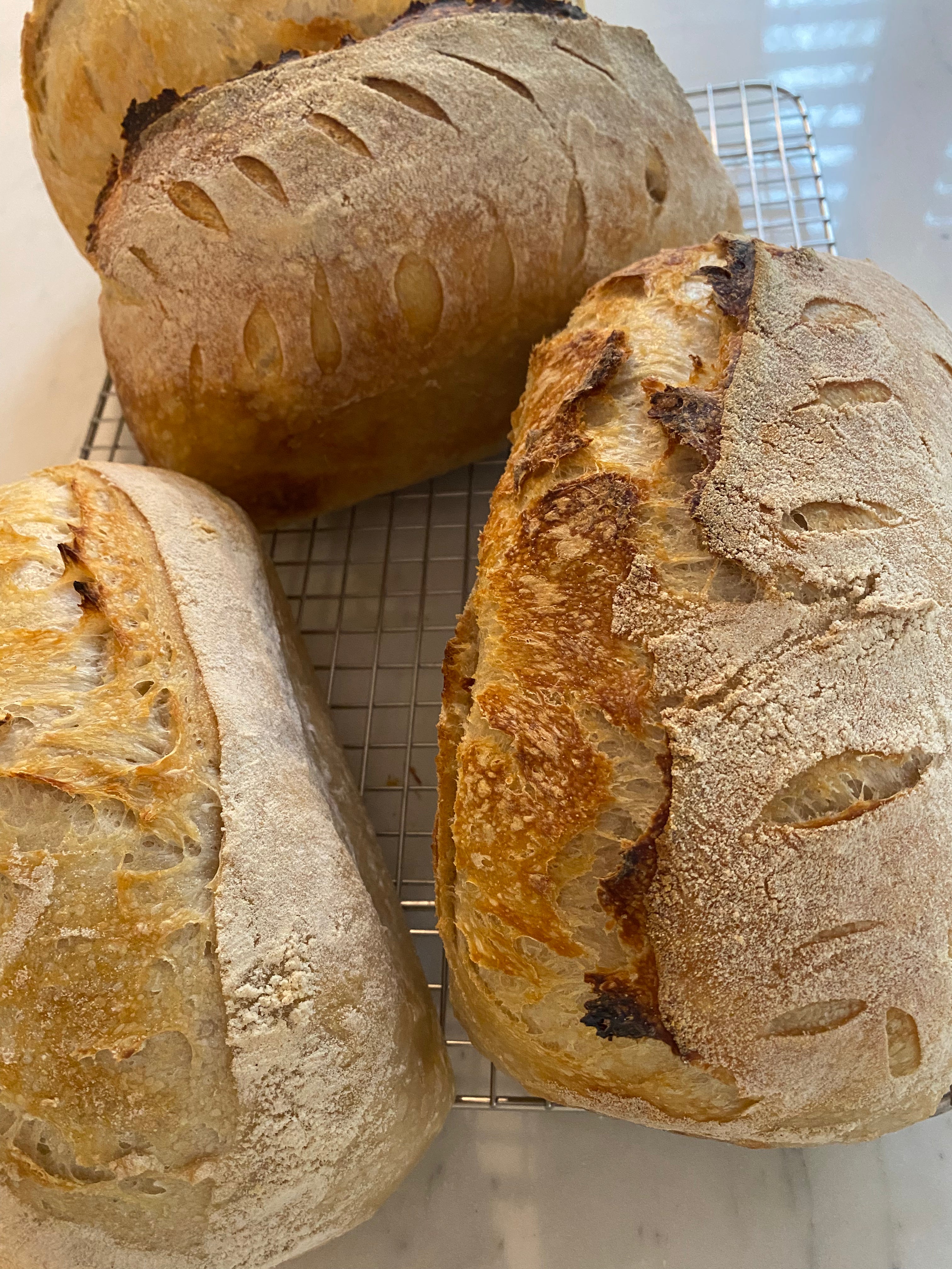 Freshly baked organic sourdough bread made with organic flour, water, salt, and wheat, available at a cozy, fully organic farm store in Ellijay, GA, offering wholesome, homemade goodness.