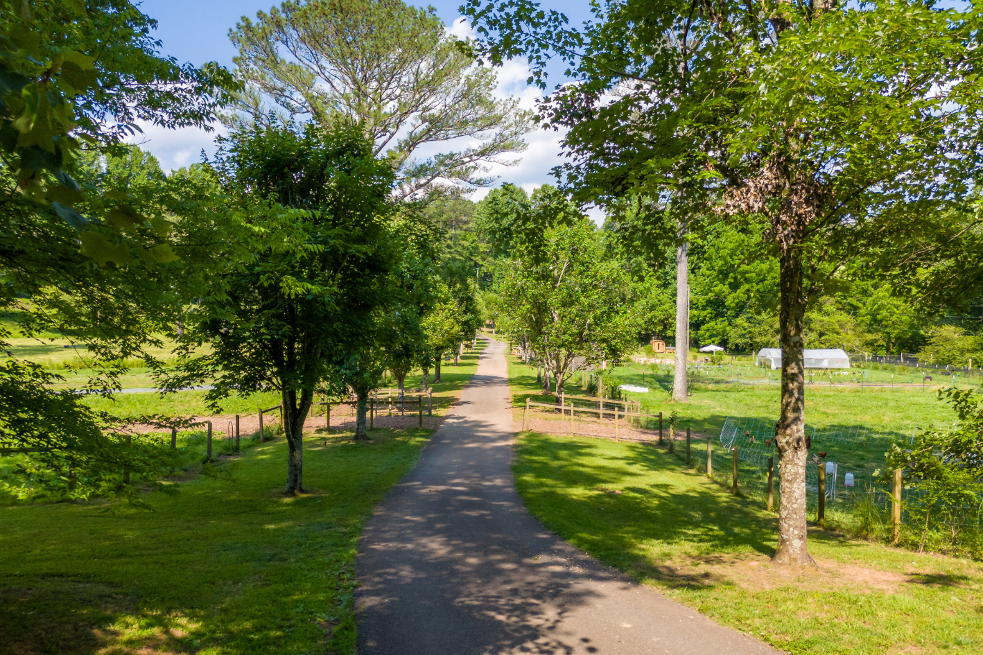 Scenic farm road at Bereishis The Farm, a fully organic farm in Ellijay, GA. Located at 10675 Chatsworth Hwy, the farm offers farm stays, tours, and photoshoot opportunities in a peaceful, rural setting.